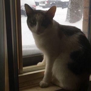 Meet your Posher, Roxanne